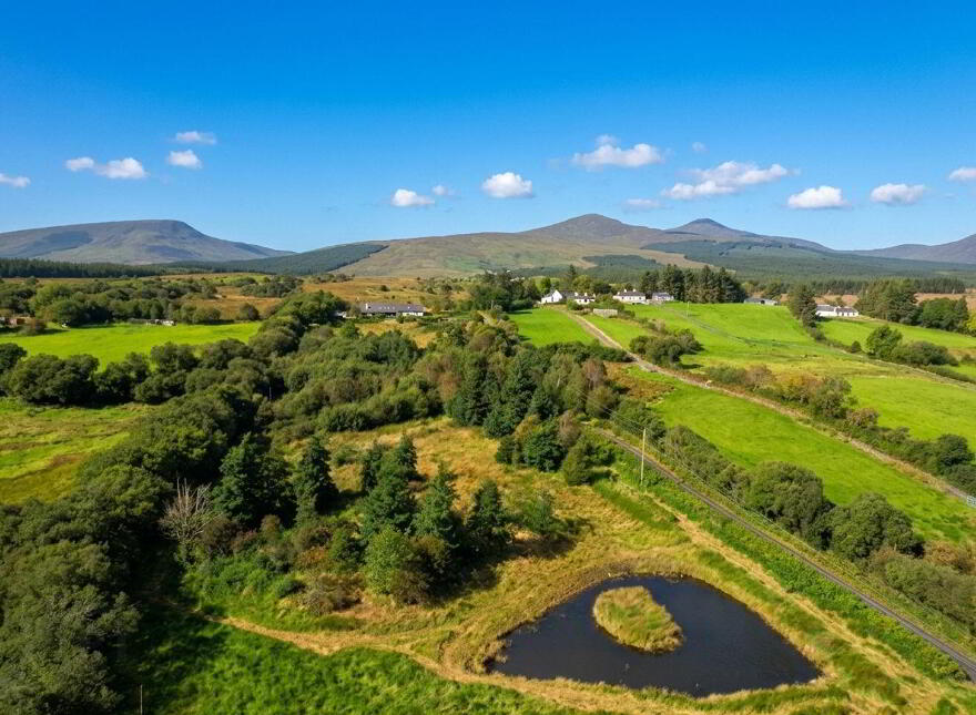 Glenhest, Newport, F28Y240