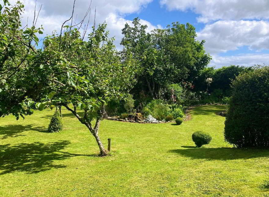 Deer Park, Carbad More, Killala, F26W868