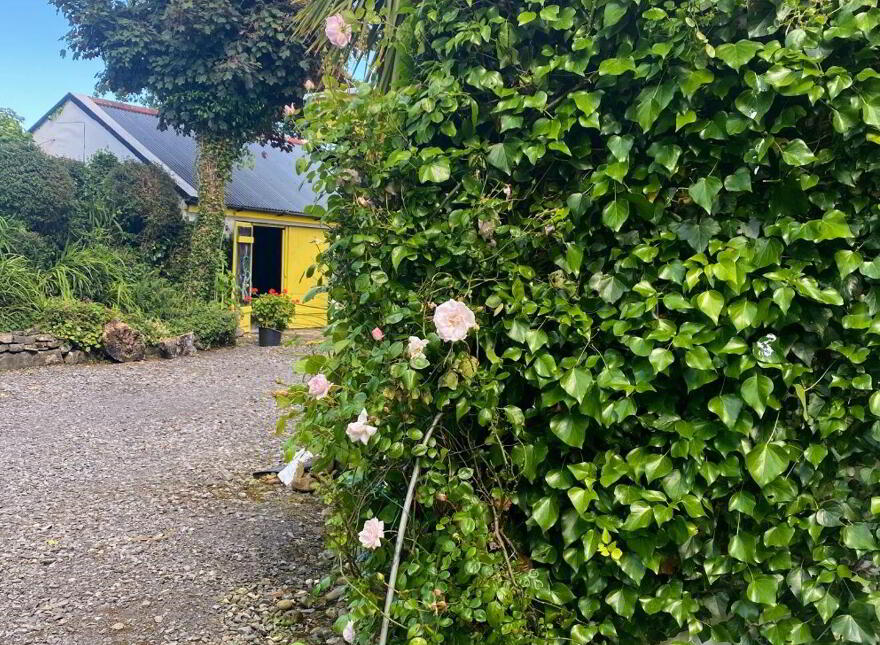 Deer Park, Carbad More, Killala, F26W868