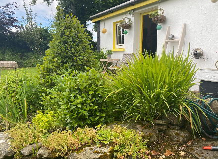 Deer Park, Carbad More, Killala, F26W868