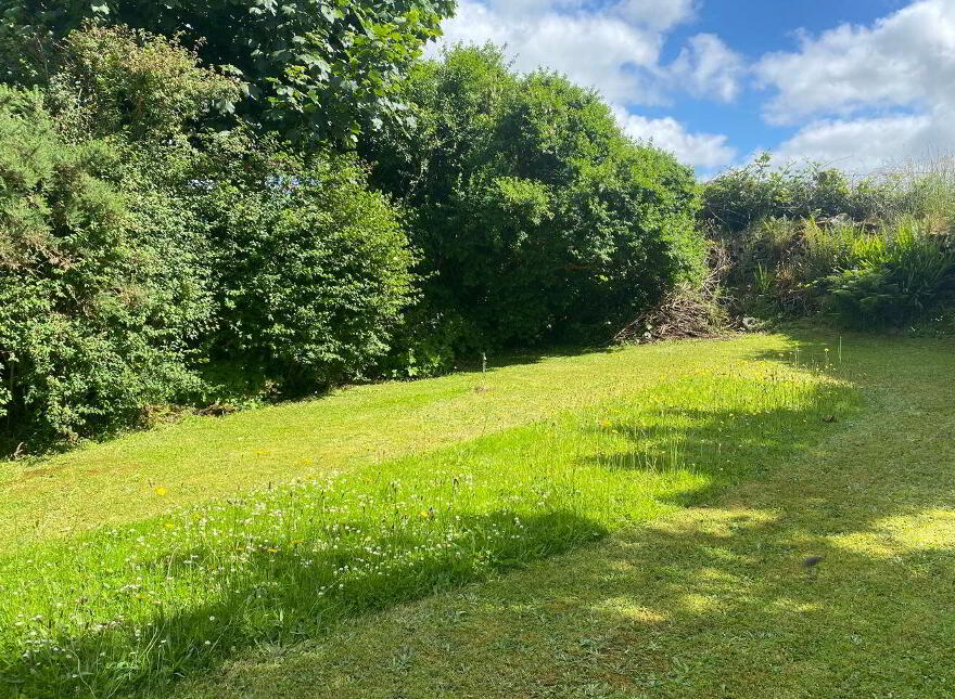 Deer Park, Carbad More, Killala, F26W868