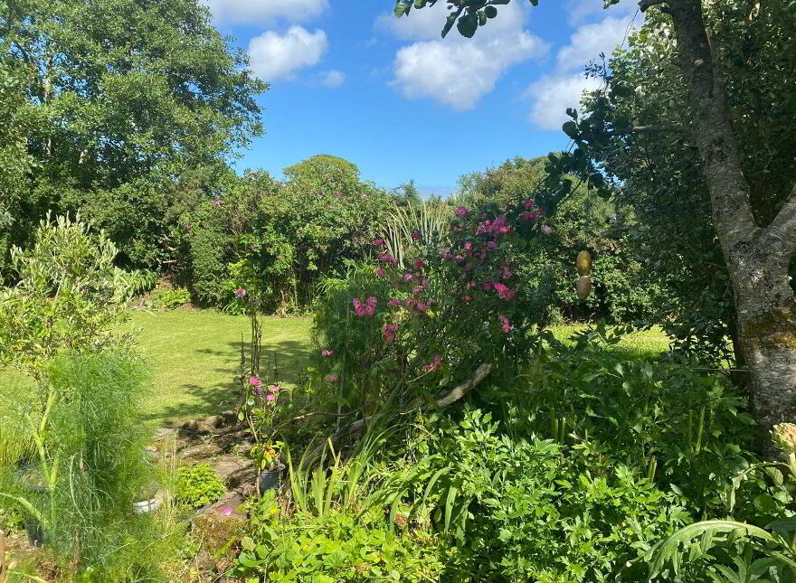 Deer Park, Carbad More, Killala, F26W868