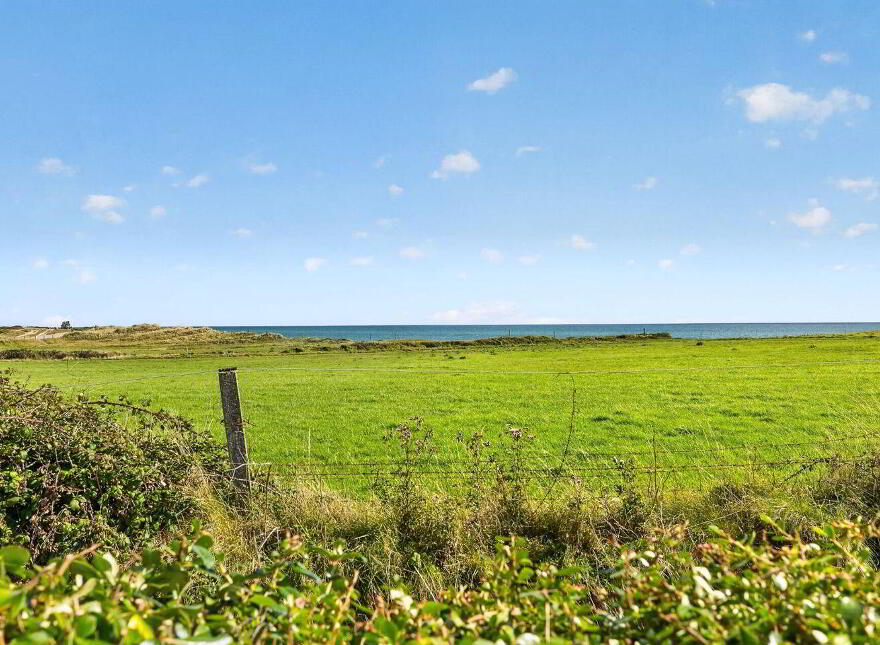 Ballyhealy, Kilmore, Y35WK18