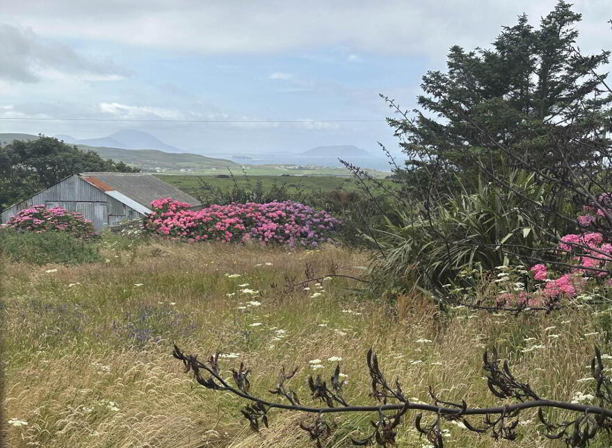 Drumakill, Ballygorman, Malin, F93Y6N4