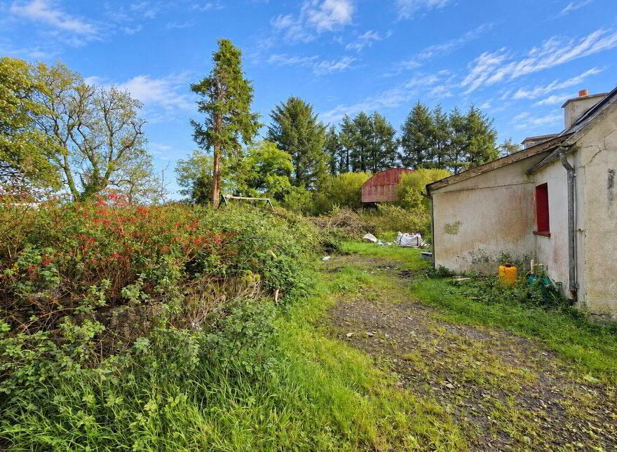 Glenmore, Kilmihil, Glenmore, V15AC62