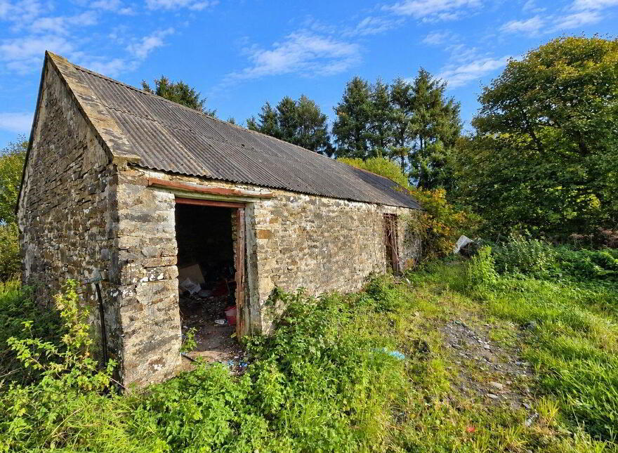 Glenmore, Kilmihil, Glenmore, V15AC62