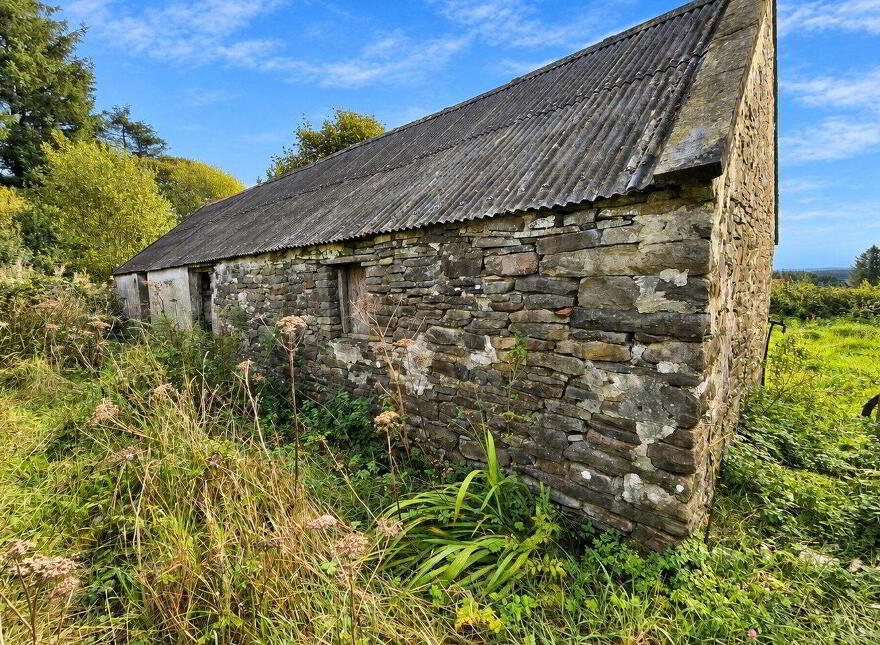 Glenmore, Kilmihil, Glenmore, V15AC62