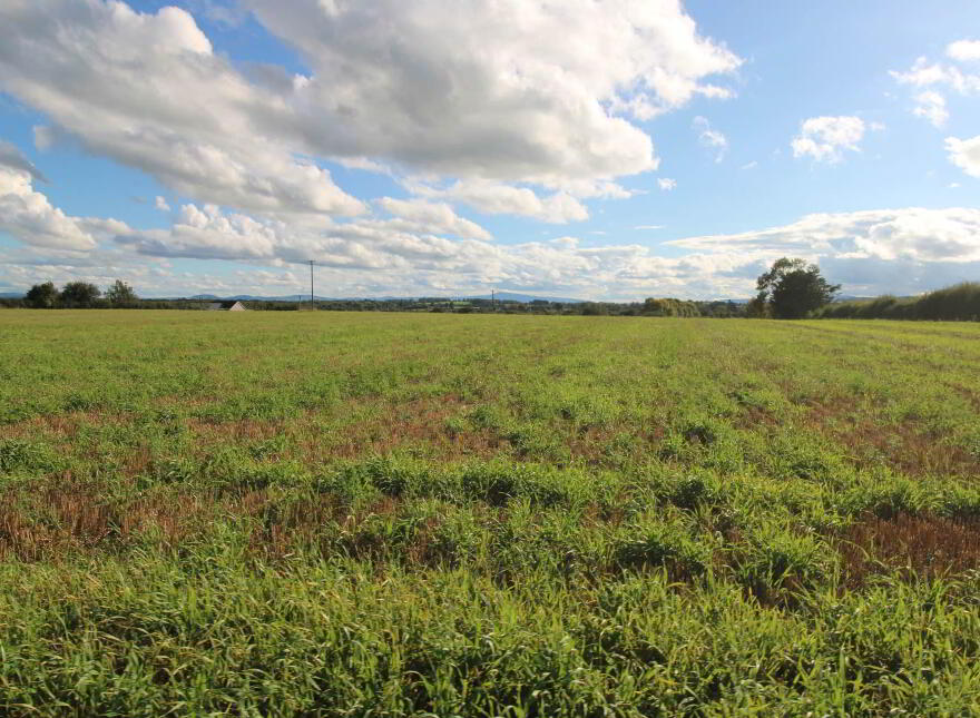1, Clooninihy, Ballinderry, Nenagh