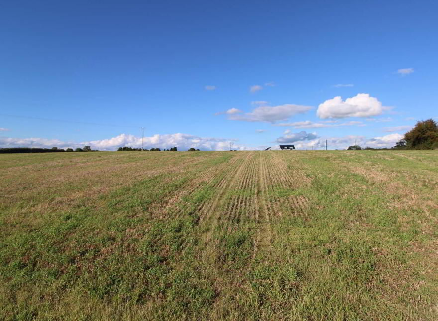 1, Clooninihy, Ballinderry, Nenagh