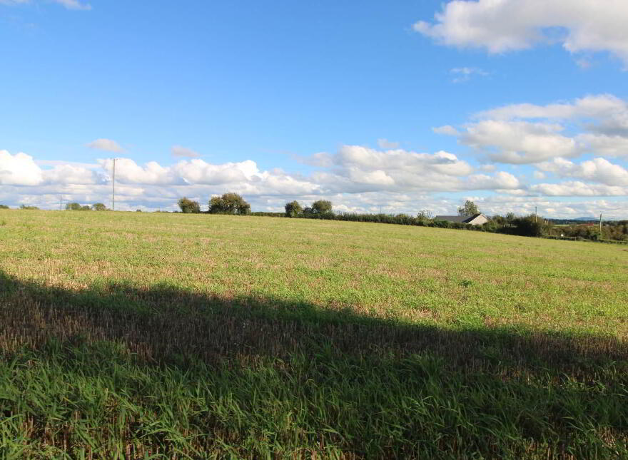 1, Clooninihy, Ballinderry, Nenagh
