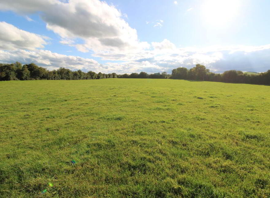 2, Clooninihy, Ballinderry, Nenagh