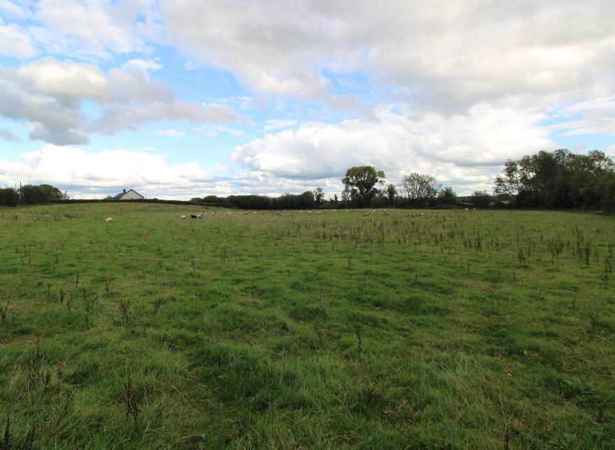 4, Ballinderry, Killea, Nenagh