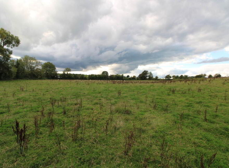 4, Ballinderry, Killea, Nenagh