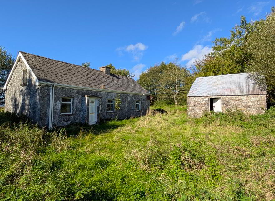 Corracleigh, Glangevlin, N41K859