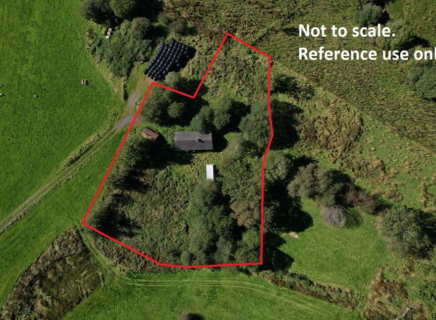 Corracleigh, Glangevlin, N41K859