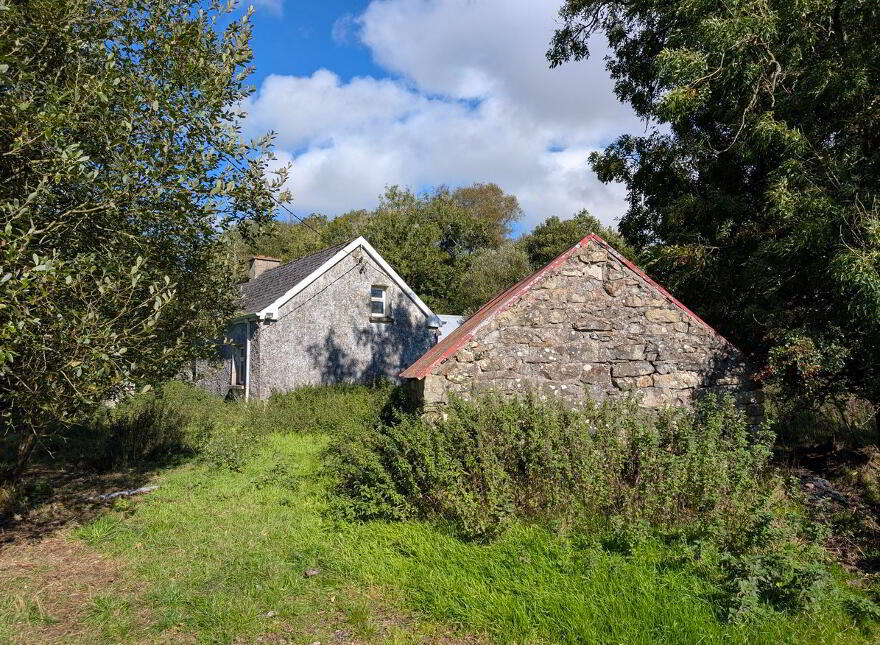 Corracleigh, Glangevlin, N41K859