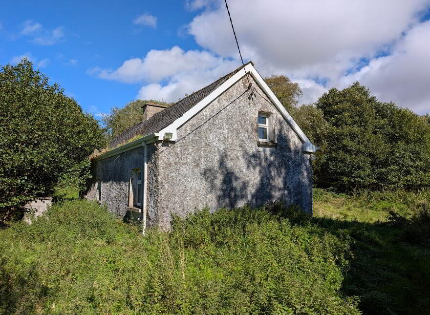 Corracleigh, Glangevlin, N41K859