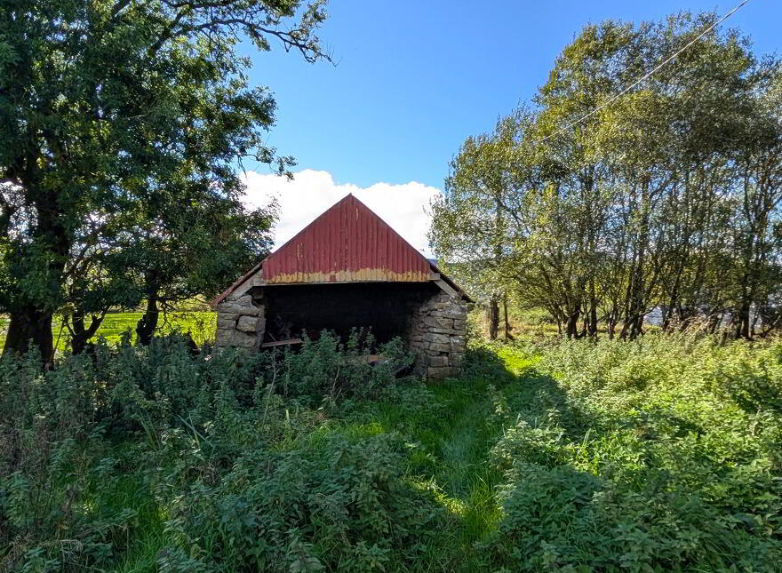 Corracleigh, Glangevlin, N41K859