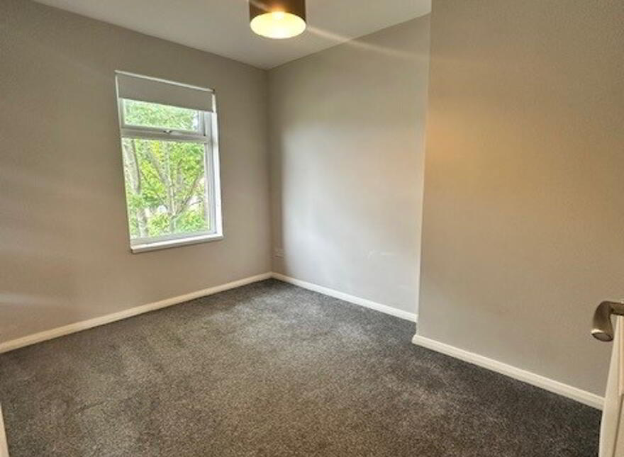 146 Ulsterville Avenue, Belfast, BT9 7BB