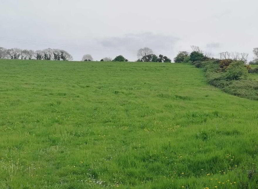 Crotta Kilflynn, Kilflynn