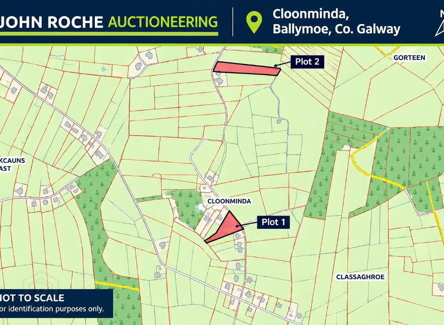 Cloonminda, Ballymoe photo