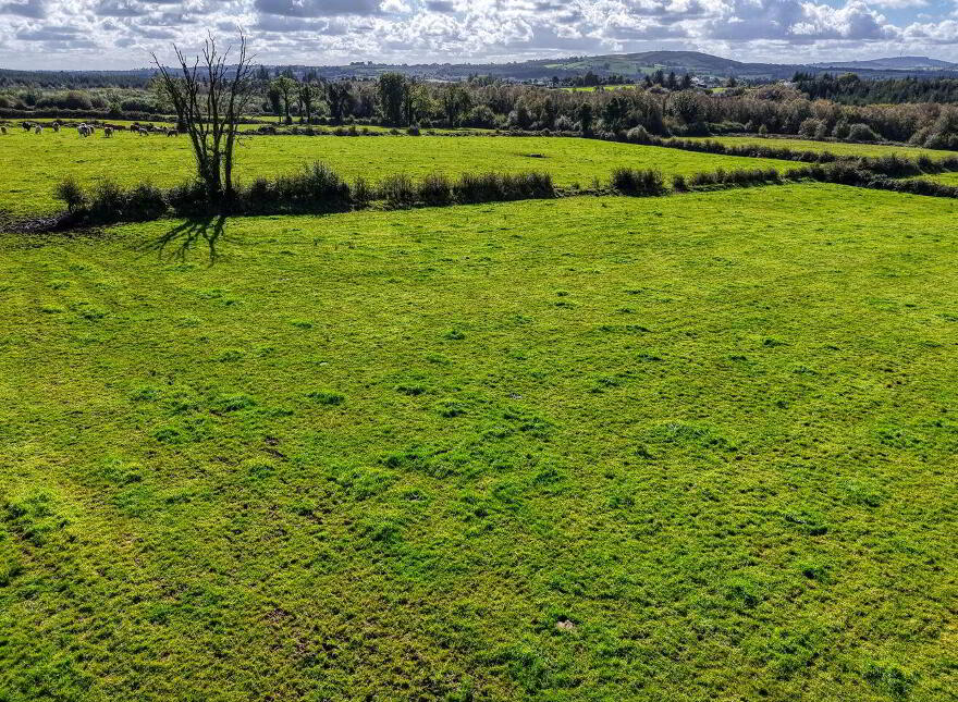 Annaghdaniel, Aughnacliffe
