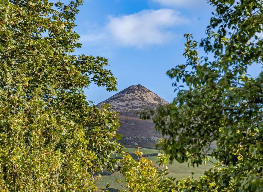 Actonville, Ballybawn Lower, Kilmacanogue, A98W104