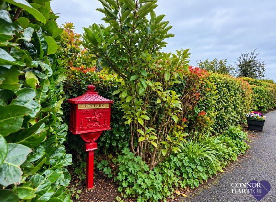 20 Knockanroe Road, Cookstown, BT80 8SR