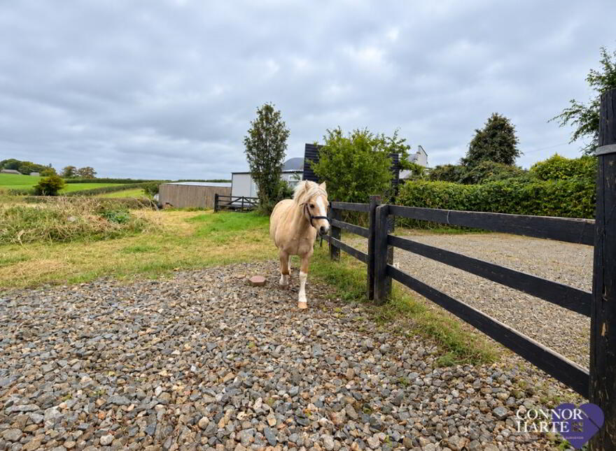 20 Knockanroe Road, Cookstown, BT80 8SR