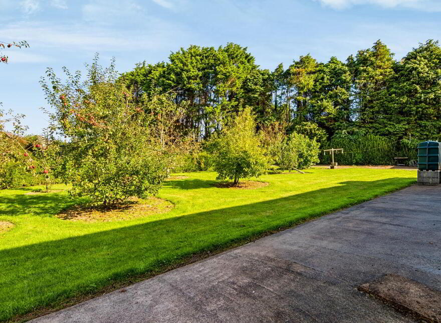 Murrintown Upper, Piercestown, Y35H2NT