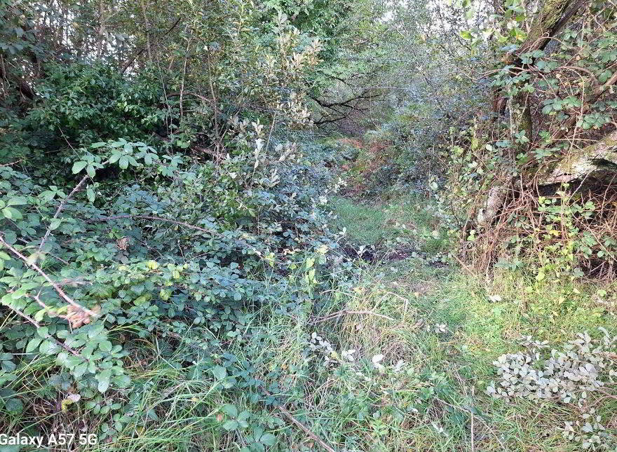 0.23 Acre Plot Of Land, The Raven, Curracloe