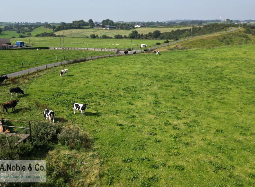 C. 25.3 Acres Offered In Three Lots, Moboy Road, Pomeroy, BT70 2SG