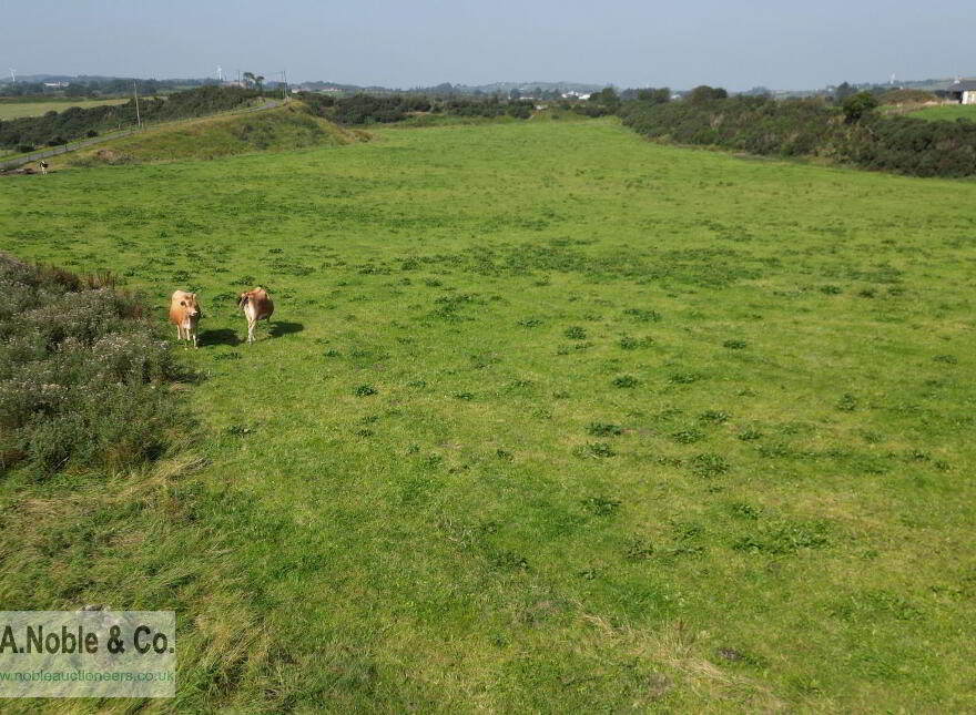 C. 25.3 Acres Offered In Three Lots, Moboy Road, Pomeroy, BT70 2SG