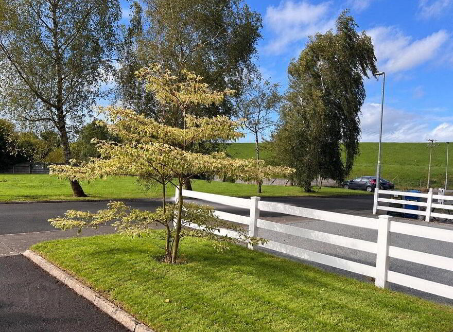 16 Church Fields, Clonlara, V94YWV6