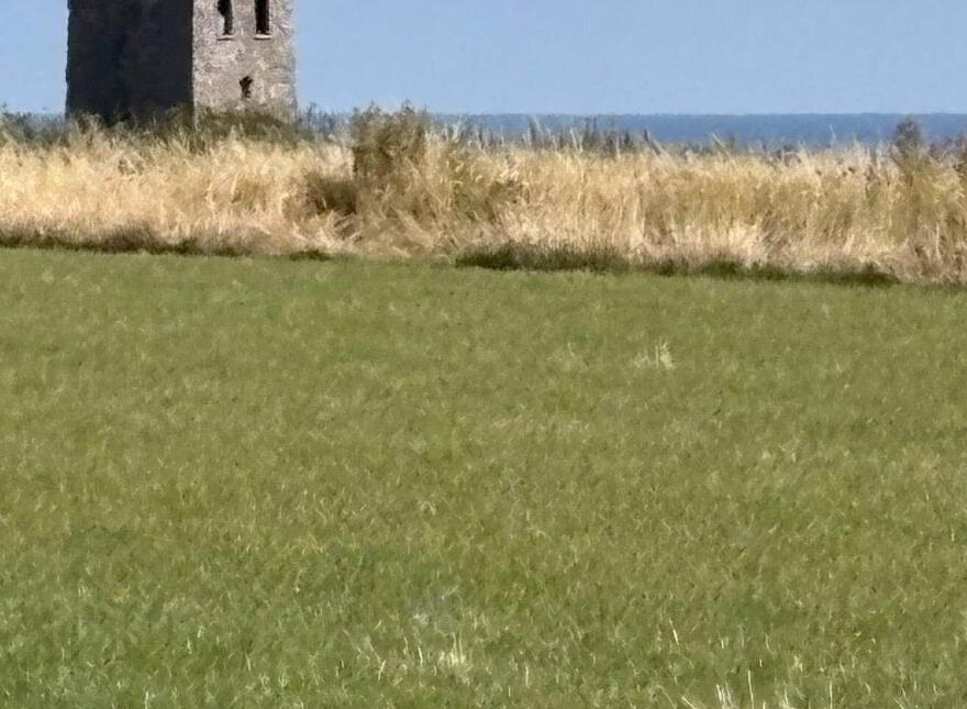Ballyskibole, Knockadoon, Ballymacoda, P25CD52