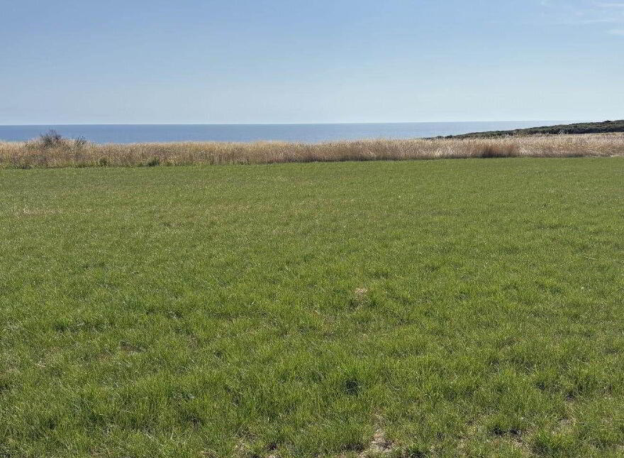 Ballyskibole, Knockadoon, Ballymacoda, P25CD52