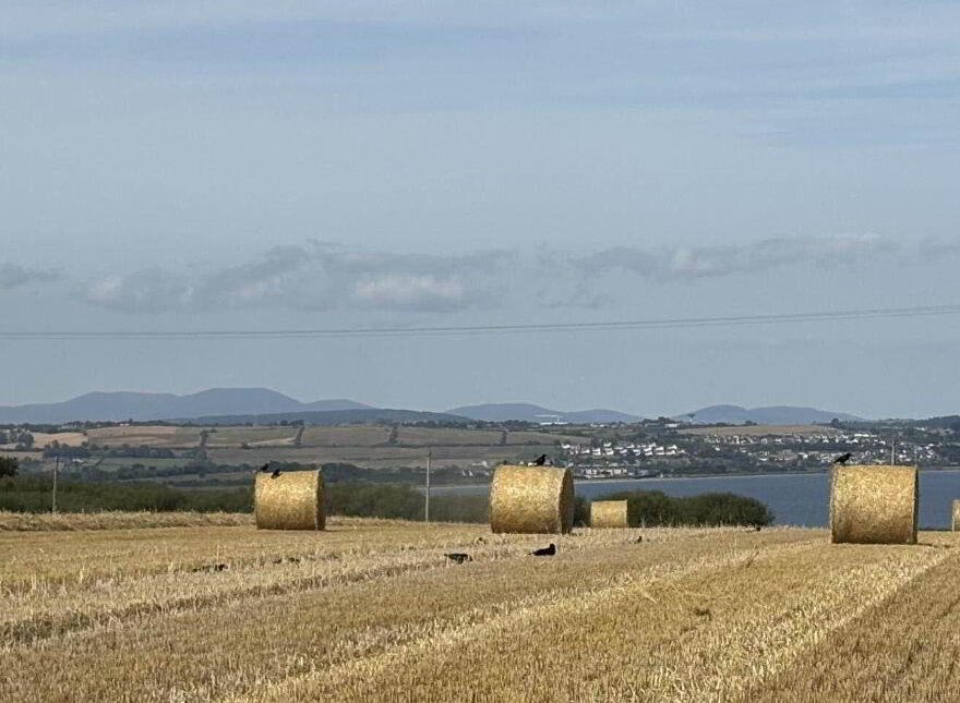Ballyskibole, Knockadoon, Ballymacoda, P25CD52