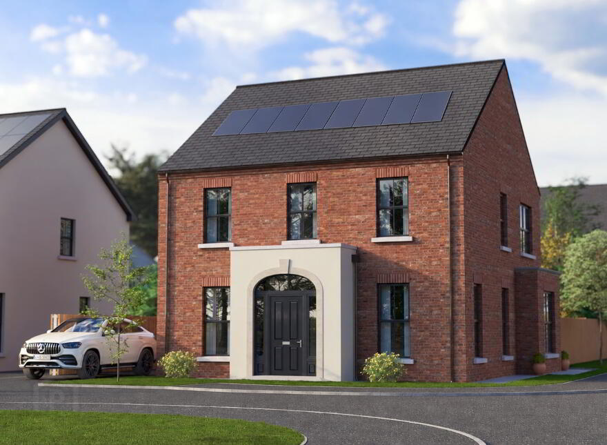 The Aster, Ballynery Meadows, Derrymacash, Lurgan photo