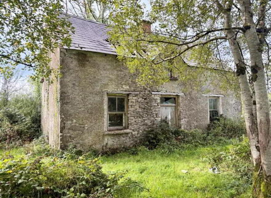 Knocks, Garadice, Ballinamore, N41X688