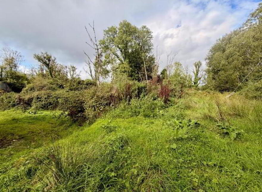 Knocks, Garadice, Ballinamore, N41X688