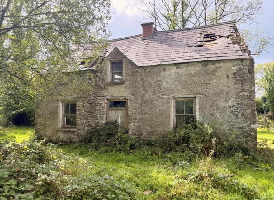Knocks, Garadice, Ballinamore, N41X688 photo