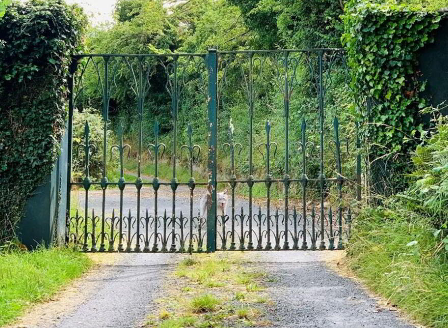 Rayconor House, Gurtymadden, Drumatober