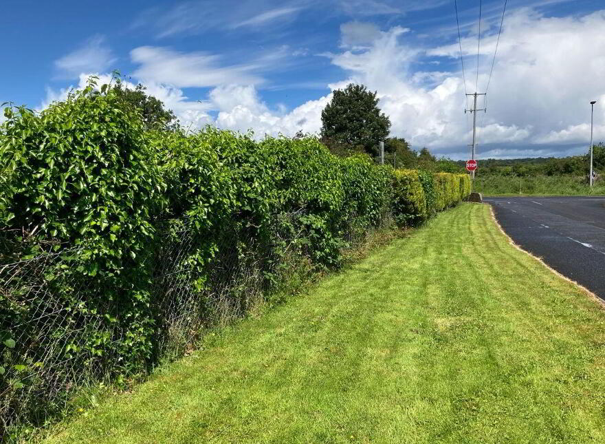 Longford Road (, R 194), Ballinalee
