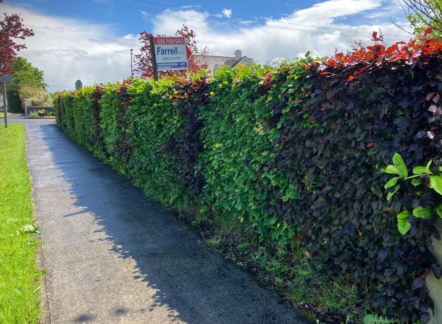 Longford Road (, R 194), Ballinalee