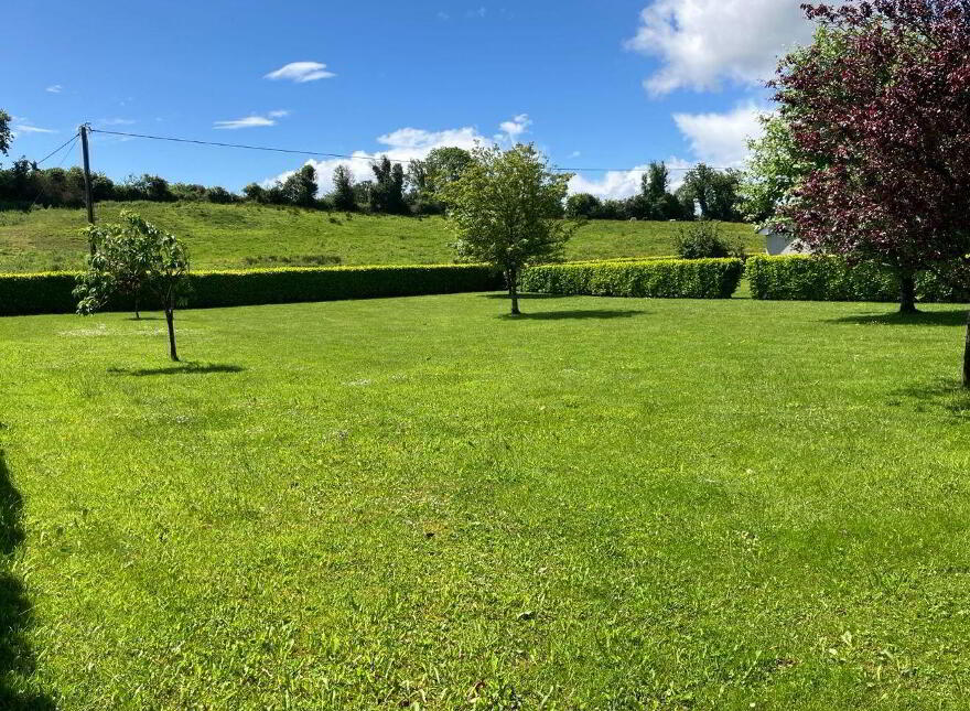 Longford Road (, R 194), Ballinalee