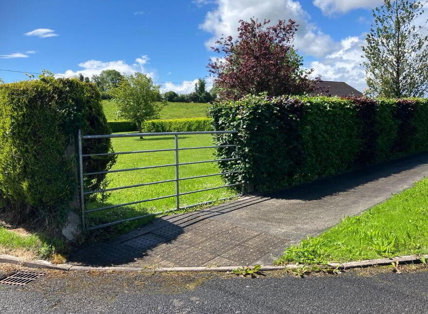 Longford Road (, R 194), Ballinalee photo