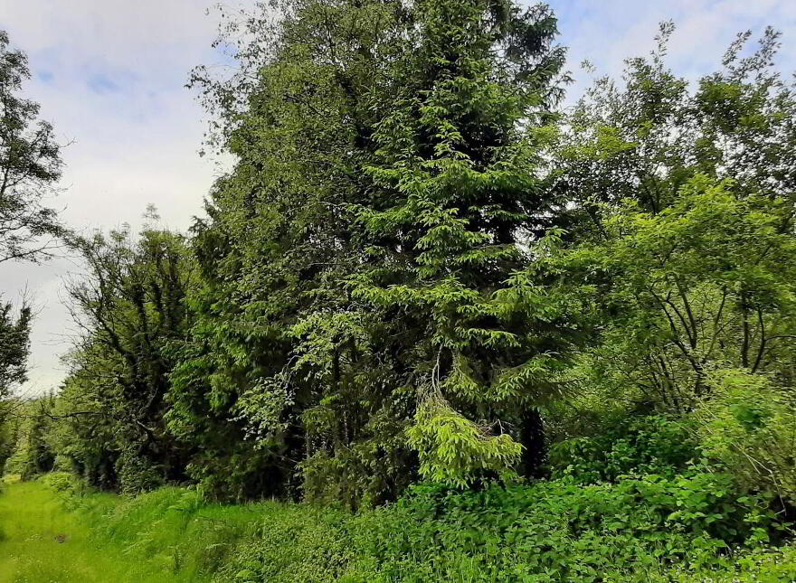 Mayo, Ballinamore
