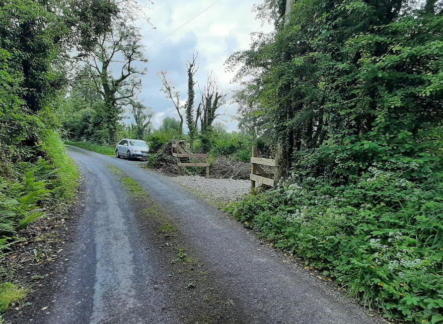 Mayo, Ballinamore