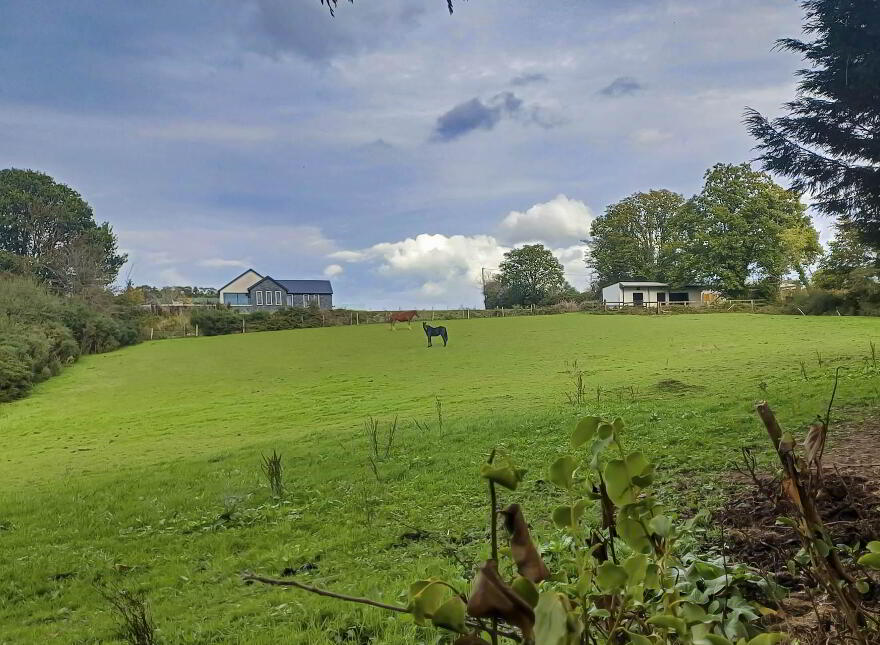 St Jude`s, Curragh Wood, Kilanerin, Gorey, Y25PY62