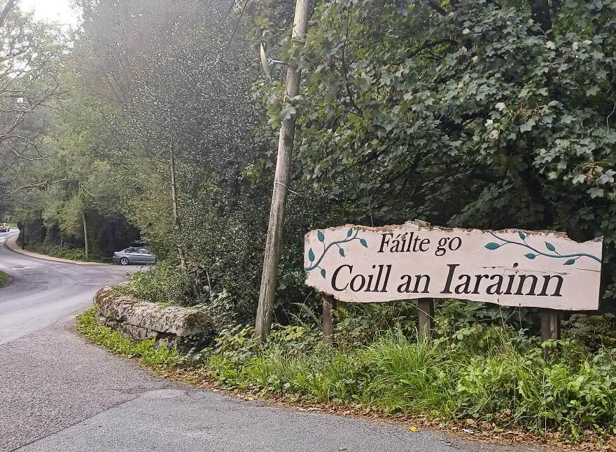 St Jude`s, Curragh Wood, Kilanerin, Gorey, Y25PY62